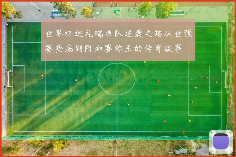 世界杯巡礼瑞典队逆袭之路从世预赛垫底到附加赛称王的传奇故事