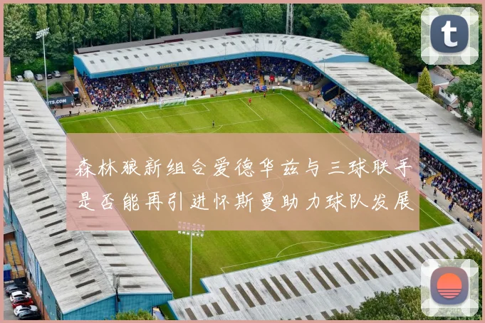 森林狼新组合爱德华兹与三球联手是否能再引进怀斯曼助力球队发展
