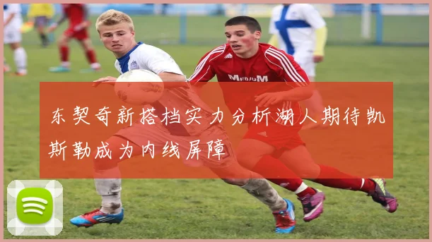 东契奇新搭档实力分析湖人期待凯斯勒成为内线屏障
